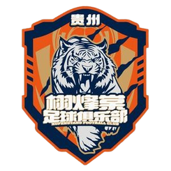 泰安天贶
